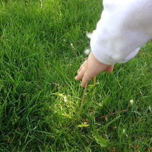 Meet your Posher, Raymond